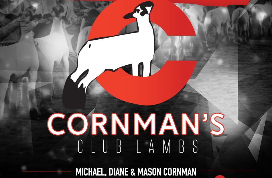 Cornman's Club Lambs