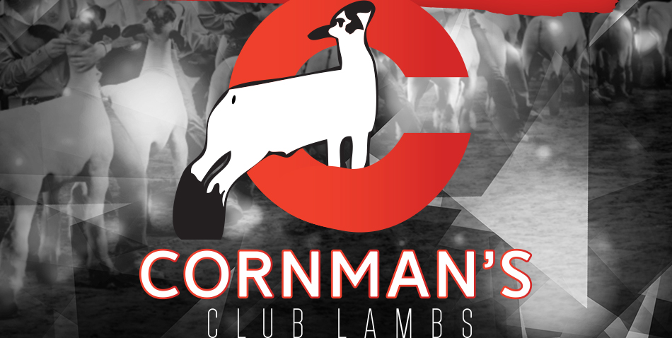 Cornman's Club Lambs